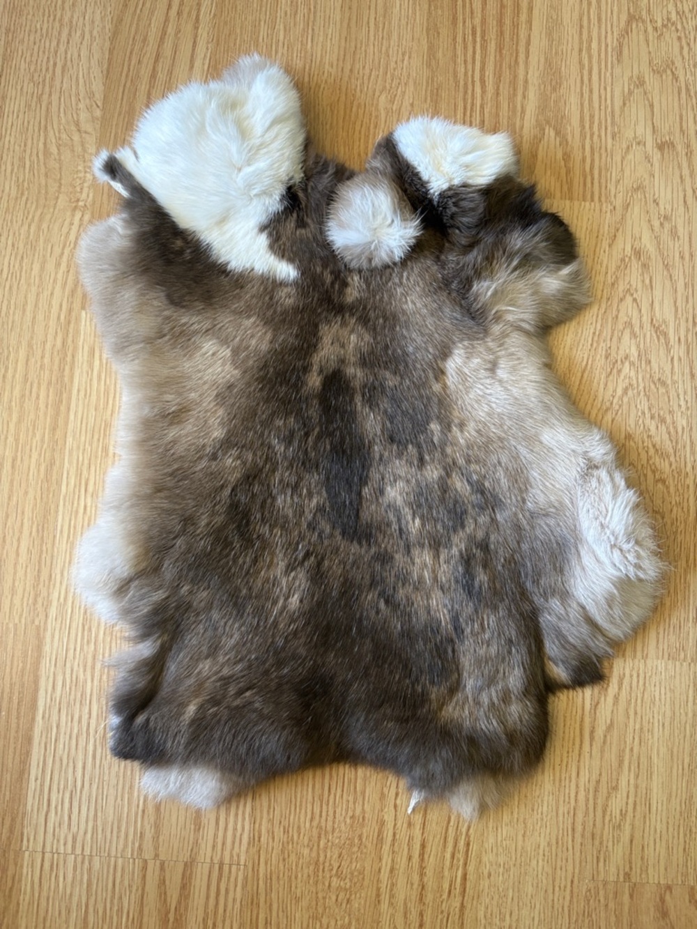 B0013 rabbit pelt Brown & Cream crafts decor
